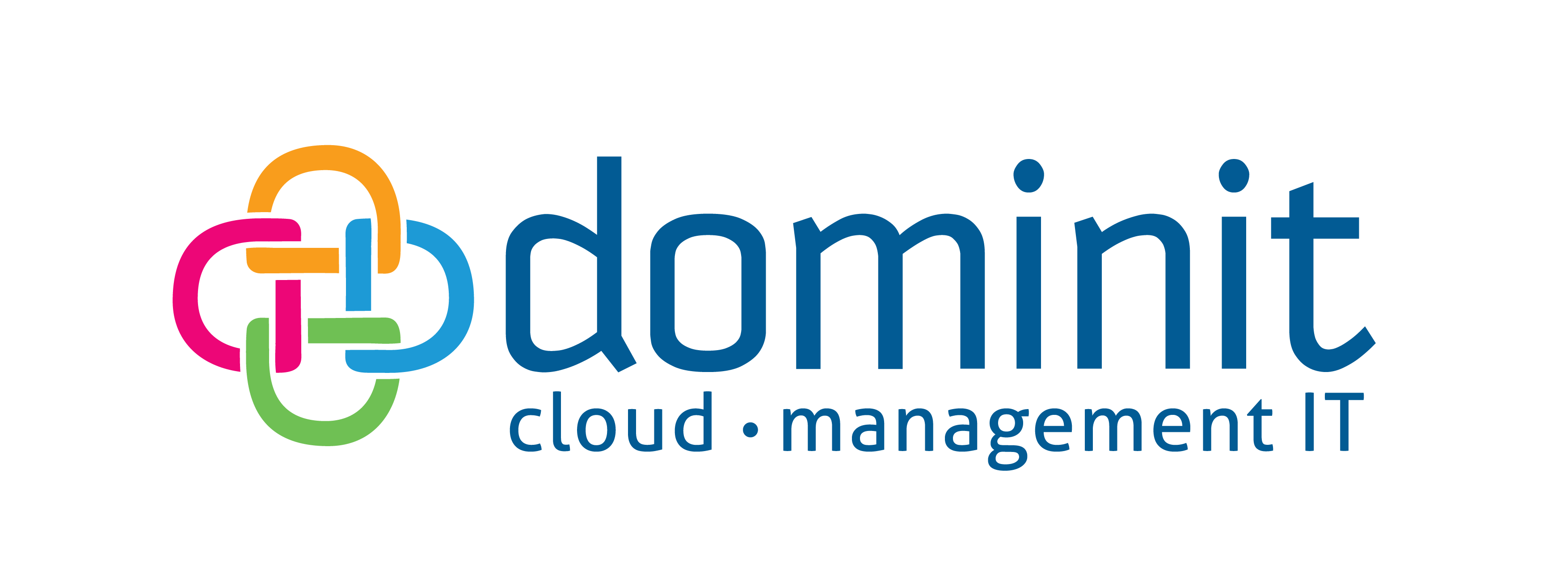 Dominit University